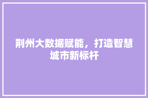 荆州大数据赋能，打造智慧城市新标杆