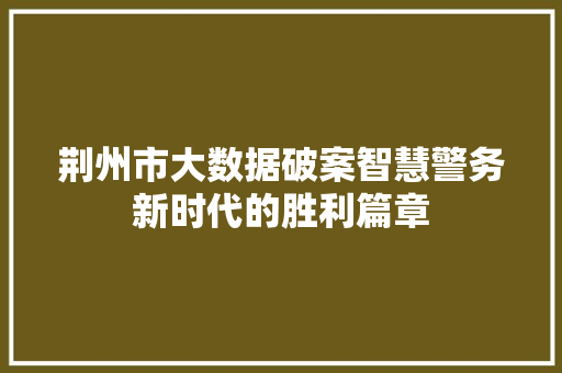 荆州市大数据破案智慧警务新时代的胜利篇章  第1张