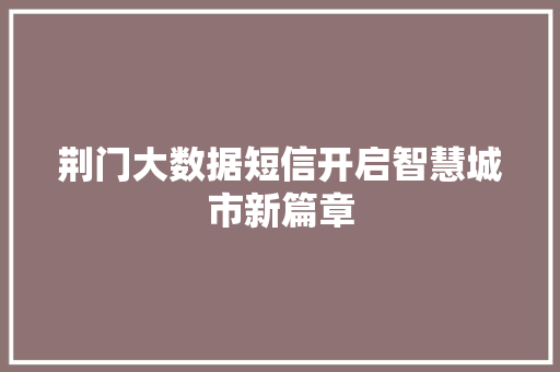 荆门大数据短信开启智慧城市新篇章