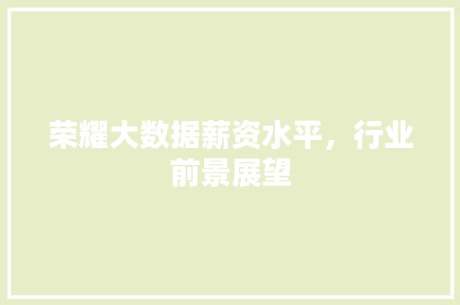 荣耀大数据薪资水平，行业前景展望