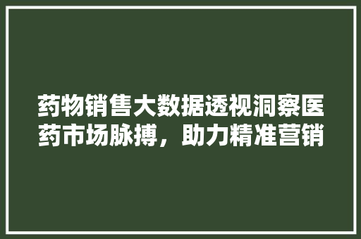 药物销售大数据透视洞察医药市场脉搏，助力精准营销  第1张