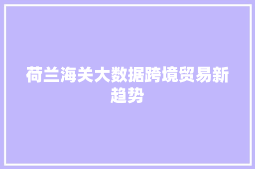 荷兰海关大数据跨境贸易新趋势