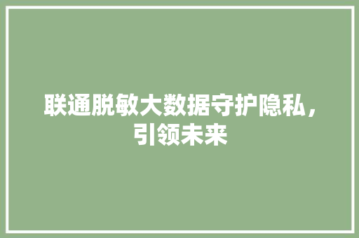 联通脱敏大数据守护隐私，引领未来