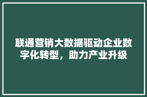 联通营销大数据驱动企业数字化转型，助力产业升级  第1张