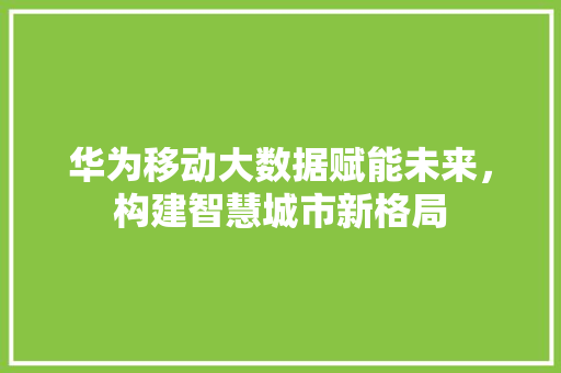 华为移动大数据赋能未来，构建智慧城市新格局  第1张