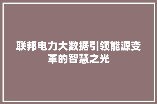 联邦电力大数据引领能源变革的智慧之光