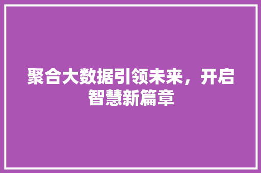 聚合大数据引领未来，开启智慧新篇章  第1张
