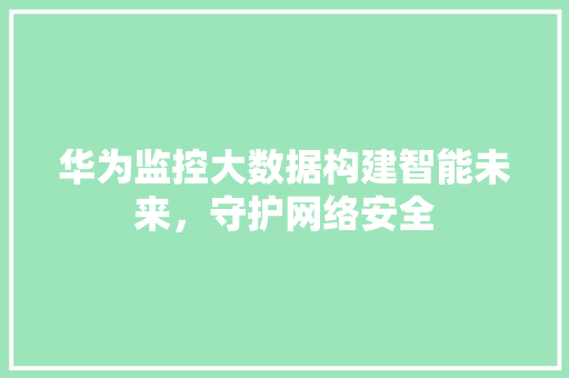 华为监控大数据构建智能未来，守护网络安全  第1张
