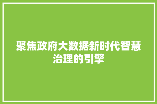 聚焦政府大数据新时代智慧治理的引擎