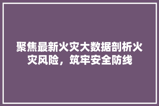 聚焦最新火灾大数据剖析火灾风险，筑牢安全防线