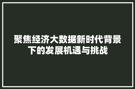 聚焦经济大数据新时代背景下的发展机遇与挑战  第1张