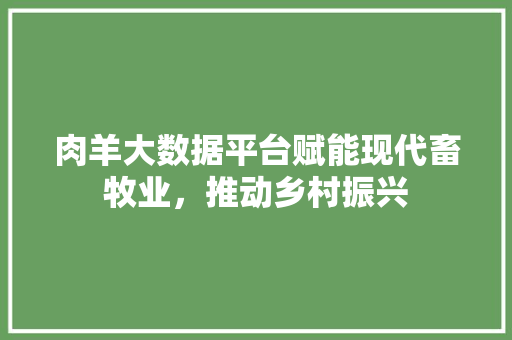 肉羊大数据平台赋能现代畜牧业，推动乡村振兴  第1张