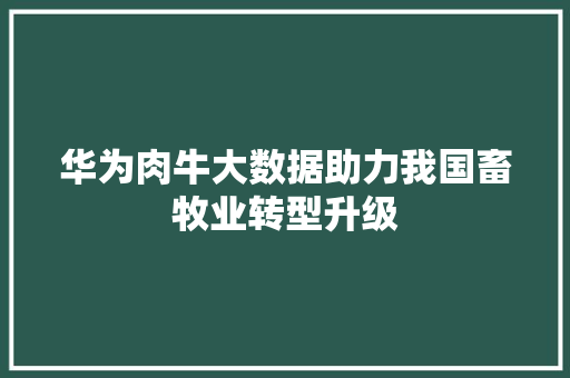 华为肉牛大数据助力我国畜牧业转型升级  第1张