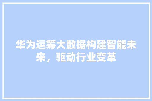 华为运筹大数据构建智能未来，驱动行业变革