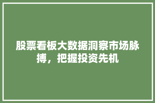 股票看板大数据洞察市场脉搏，把握投资先机