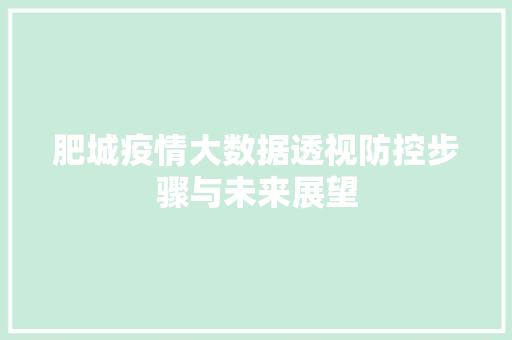 肥城疫情大数据透视防控步骤与未来展望  第1张
