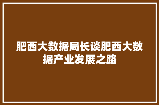肥西大数据局长谈肥西大数据产业发展之路