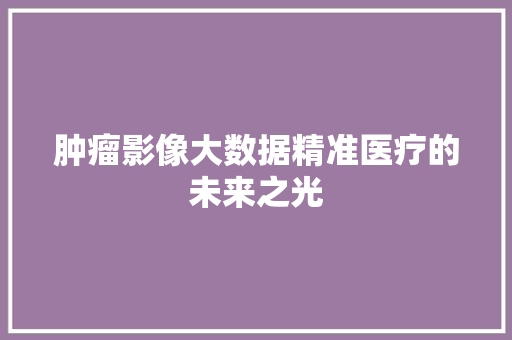 肿瘤影像大数据精准医疗的未来之光