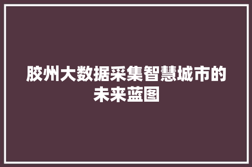 胶州大数据采集智慧城市的未来蓝图