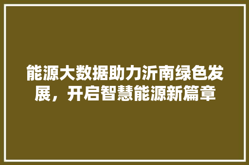 能源大数据助力沂南绿色发展，开启智慧能源新篇章  第1张