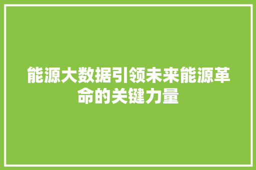 能源大数据引领未来能源革命的关键力量
