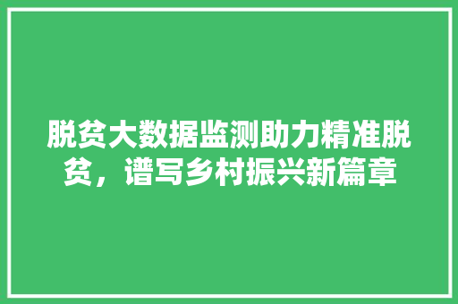 脱贫大数据监测助力精准脱贫，谱写乡村振兴新篇章