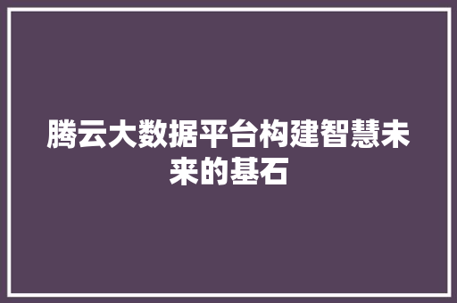 腾云大数据平台构建智慧未来的基石  第1张