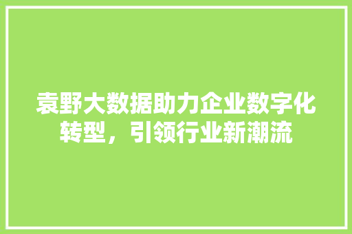 袁野大数据助力企业数字化转型，引领行业新潮流