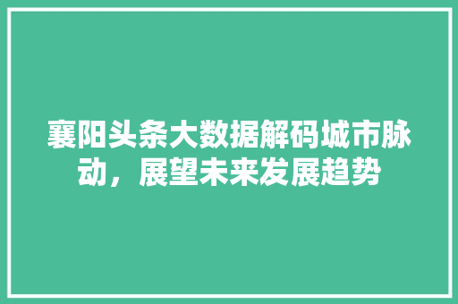 襄阳头条大数据解码城市脉动，展望未来发展趋势