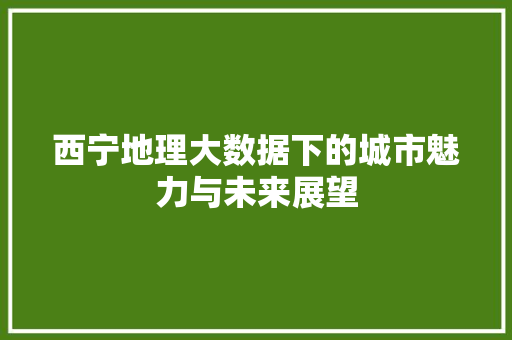 西宁地理大数据下的城市魅力与未来展望