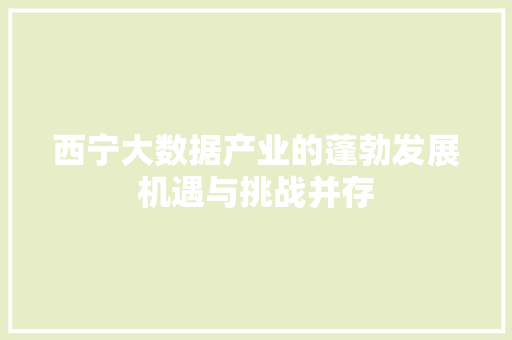 西宁大数据产业的蓬勃发展机遇与挑战并存