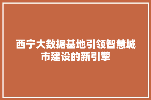 西宁大数据基地引领智慧城市建设的新引擎