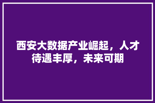 西安大数据产业崛起，人才待遇丰厚，未来可期  第1张
