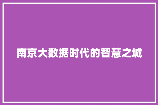 南京大数据时代的智慧之城