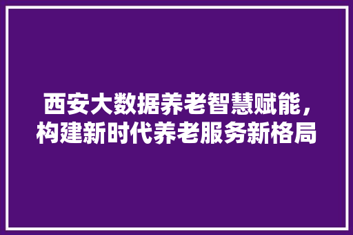 西安大数据养老智慧赋能，构建新时代养老服务新格局