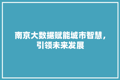 南京大数据赋能城市智慧，引领未来发展  第1张