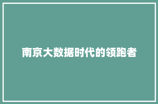 南京大数据时代的领跑者  第1张