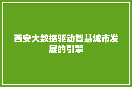 西安大数据驱动智慧城市发展的引擎  第1张