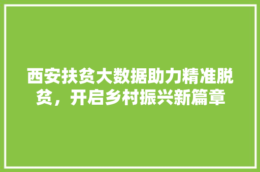 西安扶贫大数据助力精准脱贫，开启乡村振兴新篇章
