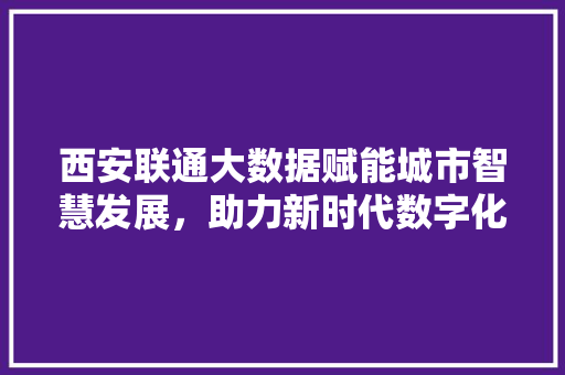 西安联通大数据赋能城市智慧发展，助力新时代数字化转型