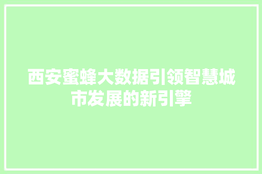 西安蜜蜂大数据引领智慧城市发展的新引擎