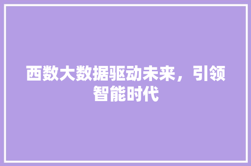 西数大数据驱动未来，引领智能时代  第1张