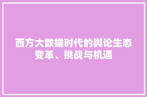 西方大数据时代的舆论生态变革、挑战与机遇