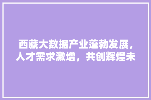 西藏大数据产业蓬勃发展，人才需求激增，共创辉煌未来  第1张