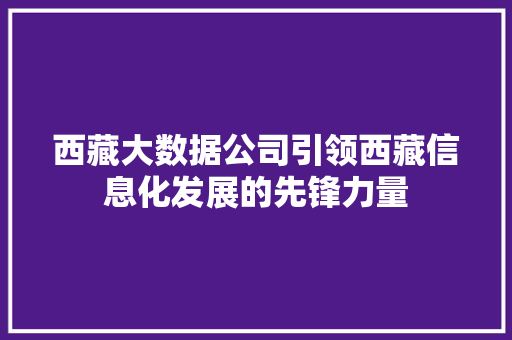 西藏大数据公司引领西藏信息化发展的先锋力量