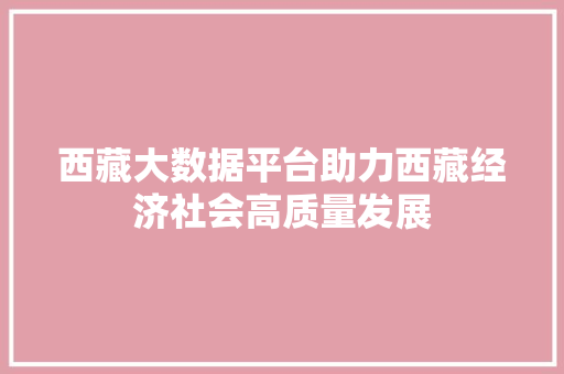 西藏大数据平台助力西藏经济社会高质量发展  第1张
