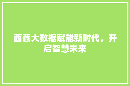 西藏大数据赋能新时代，开启智慧未来