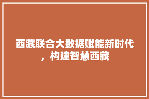 西藏联合大数据赋能新时代，构建智慧西藏  第1张