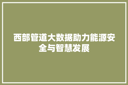 西部管道大数据助力能源安全与智慧发展