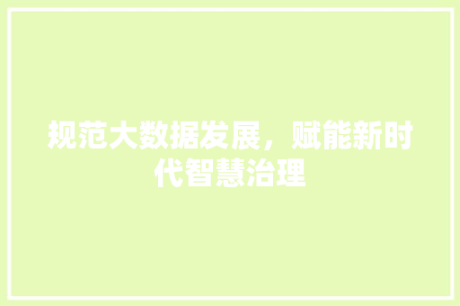 规范大数据发展，赋能新时代智慧治理